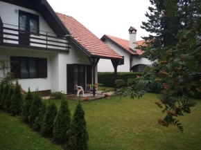 Vila Borovic Zlatibor